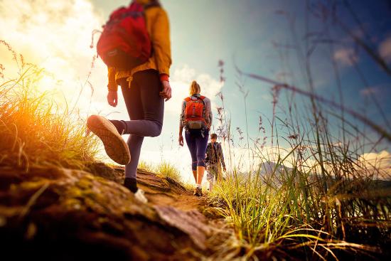 Тему поддержки сельхозкооперативов обсудят на Осеннем форуме по сельскому туризму